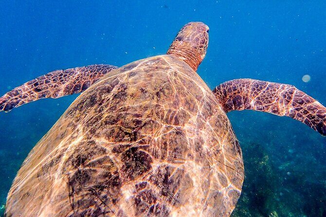 Kicker Rock Day Trip from San Cristobal: Snorkeling & Wildlife - FAQ