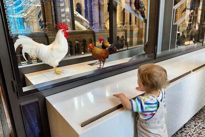 Kid-Friendly Natural History Museum & Dinosaurs Private Guided Tour in London - Final Thoughts: Is This Tour Worth It?
