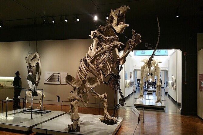 Kids & Family  Full Day Private Guided Tour in São Paulo - Final Thoughts: Is This Tour for You?