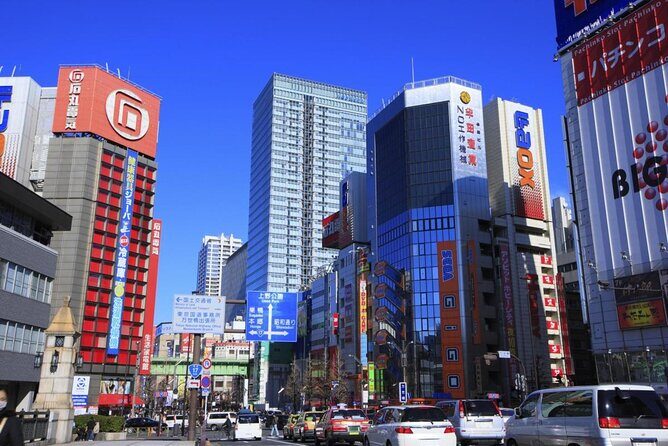 Kids Free Anime, Eats & Games Akihabara Ultimate Private Tour - Exploring Akihabara: The Ultimate Private Tour for Anime and Gaming Fans