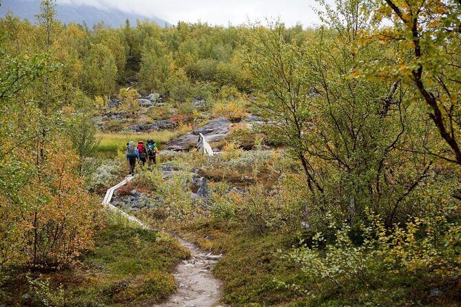 Kids Ice Climbing Adventure in Pyhä-Luosto, Finland - Key Points