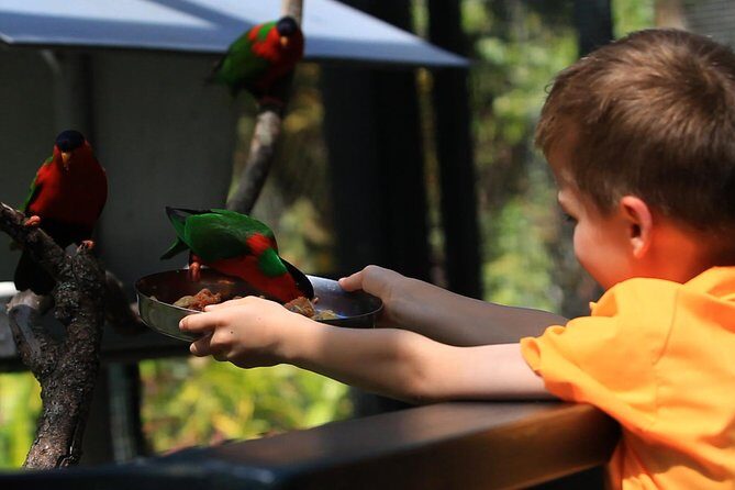 Kids Park Ranger for a Day - Kids Park Ranger for a Day: A Unique Family Adventure in Fiji
