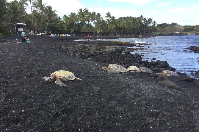 Kilauea Summit to Shore from Kona: Small Group - Frequently Asked Questions