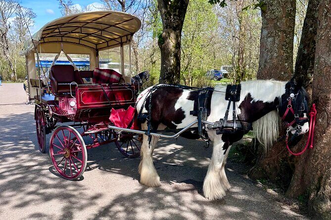 Killarney Jaunting Car Tour - The Sum Up