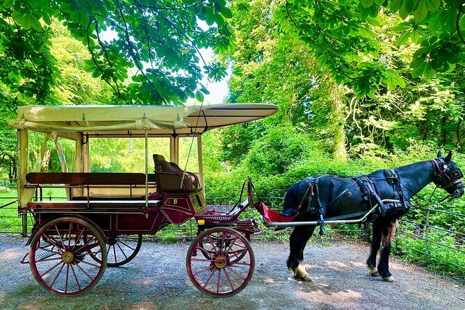 Killarney Jaunting Car Tour - FAQs