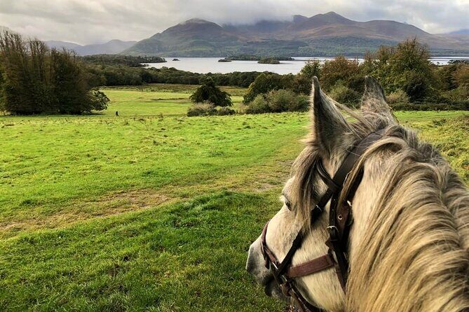 Killarney National Park Horseback Ride. Co Kerry. Guided. 1 hour. - A Natural Way to Explore Killarney’s Scenic Wonders