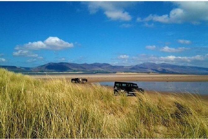 Killarney National Park Horseback Ride. Co Kerry. Guided. 1 hour. - Who Will Love This Experience?