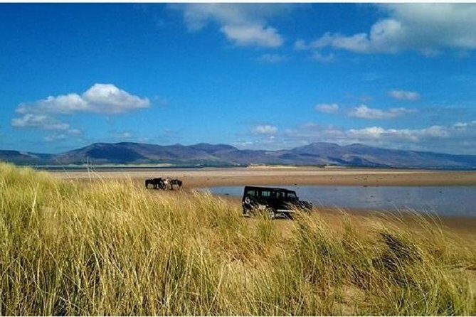 Killarney National Park Horseback Ride. Co Kerry. Guided. 2 hours. - A Deep Dive into the Killarney National Park Horseback Ride