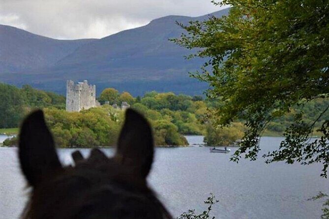 Killarney National Park Horseback Ride. Co Kerry. Guided. 3 hours. - Practical Considerations and Tips