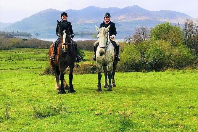 Killarney National Park Horseback Ride. Co Kerry. Guided. 3 hours. - Who Should Consider This Tour?