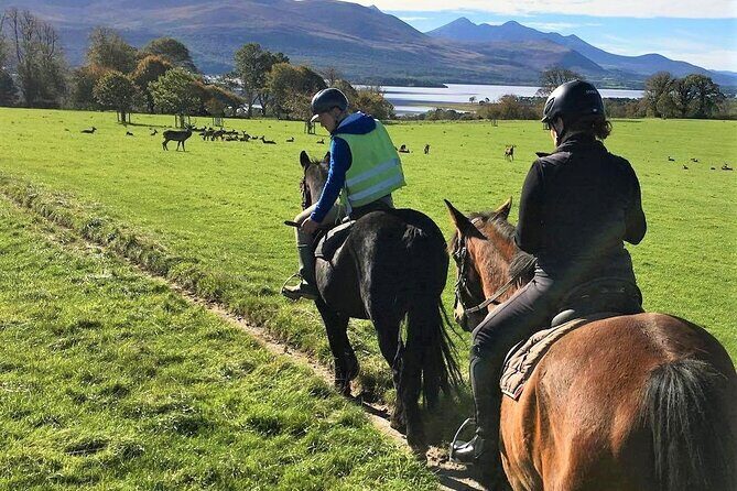 Killarney National Park Horseback Ride. Co Kerry. Guided. 3 hours. - Final Thoughts