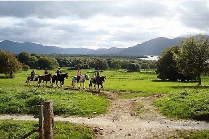 Killarney National Park Horseback Ride. Co Kerry. Guided. 3 hours. - FAQ