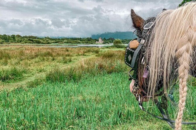 Killarney National Park Tour - The Sum Up