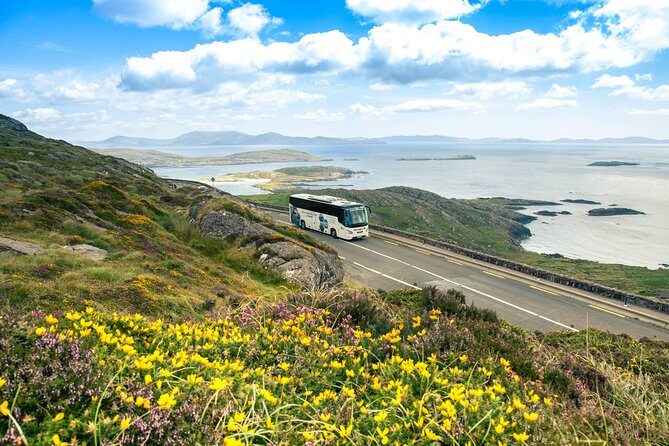 Killarney Super Saver: Dingle and Slea Head Day Trip plus Ring of Kerry and Killarney Lakes Day Trip - Exploring the Itinerary: What You Can Expect