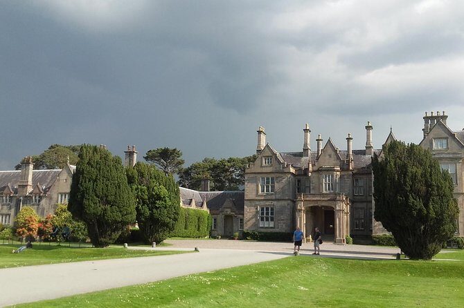 Killarney Valley & National Park - Private Tour - The Details of the Day: A Deep Dive