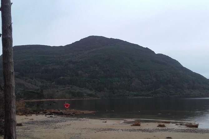 Killarney Valley & National Park - Private Tour - Final Reflection