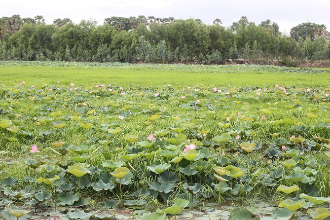 Killing Field & Paddy Rice Fields Tuk Tuk Adventure - FAQ