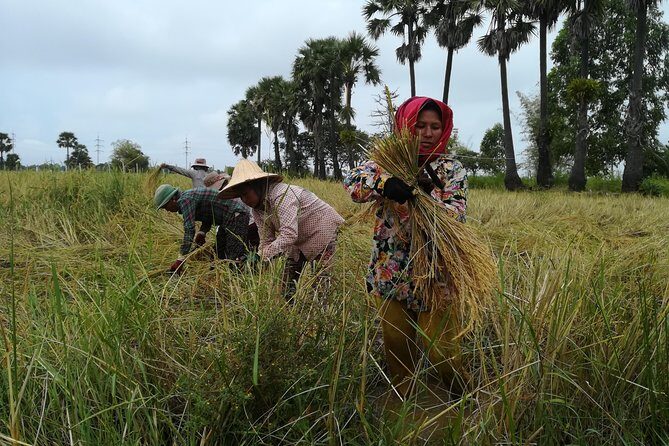 Killing Fields, War Museum and Floating Village ( Mechrey ) - Who Will Love This Tour?