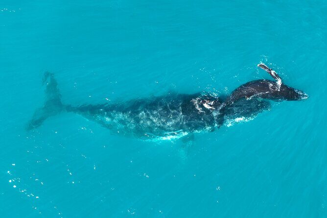 Kimberley Day Cruise Full Day Tour Departing Broome - Final Thoughts