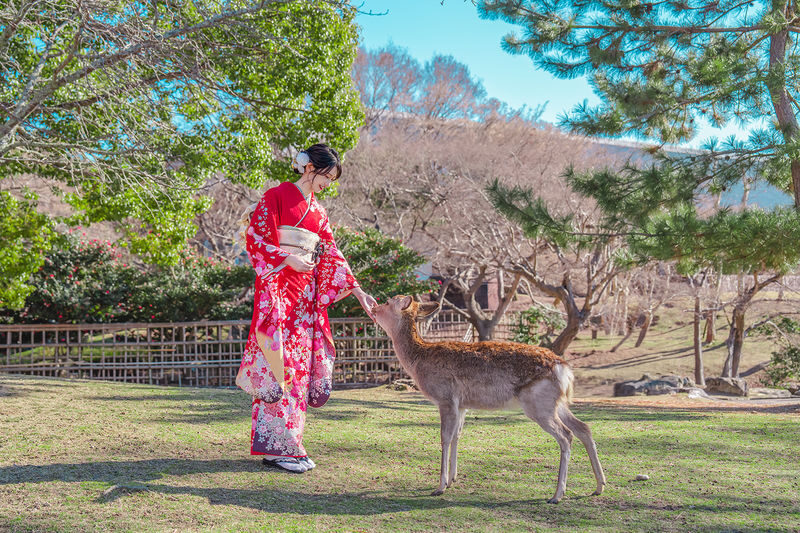 Kimono and Yukata Rental Experience (Provided by Osaka / Kawaii Osaka) - Photography, from casual snapshots to a planned shoot