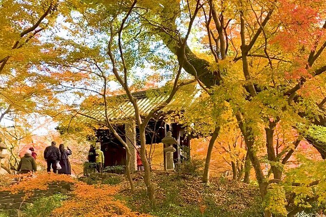 Kimono Experience in Akizuki Castle Town - Exploring the Heart of Akizuki Castle Town