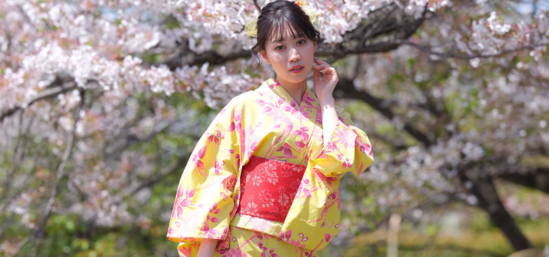 Kimono Rental Experience (Kyoto/provided by mimosa) - Who will get the most from Mimosa