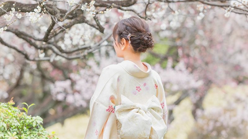 Kimono Rental inside Shinjuku Gyoen National Garden: KOUICHI STORE - Is the price good value?