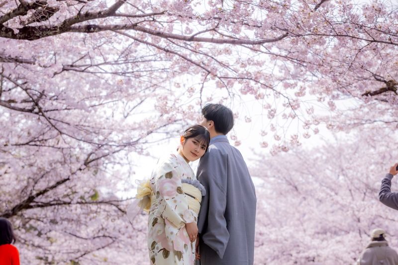 Kimono Rental (Provided by Kyoto / Kyoto Kimono Rental Yumeyakata) - What the price includes, and what it does not