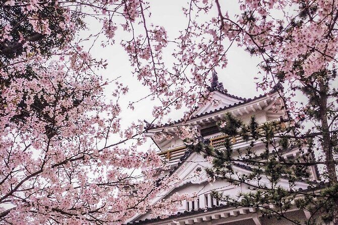 Kimono Walk and Tea ceremooy and sake in Historic Kitsuki Castle - Key Points