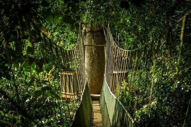 Kinabalu National Park Tour - Exploring the Itinerary in Detail