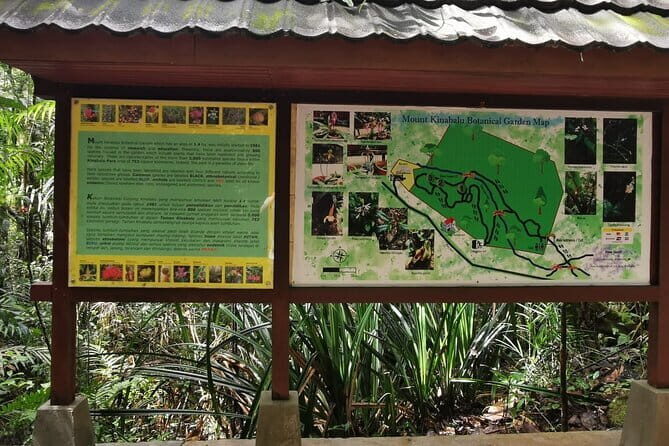 Kinabalu Park And Poring Hot Spring Private Day Tour - Who Is This Tour Best For?
