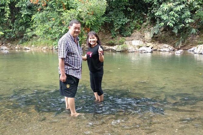 Kinabalu Park Day Trip - A deeper look at the Kinabalu Park Day Trip