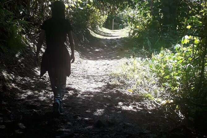 Kinabalu Park Day Trip - FAQ