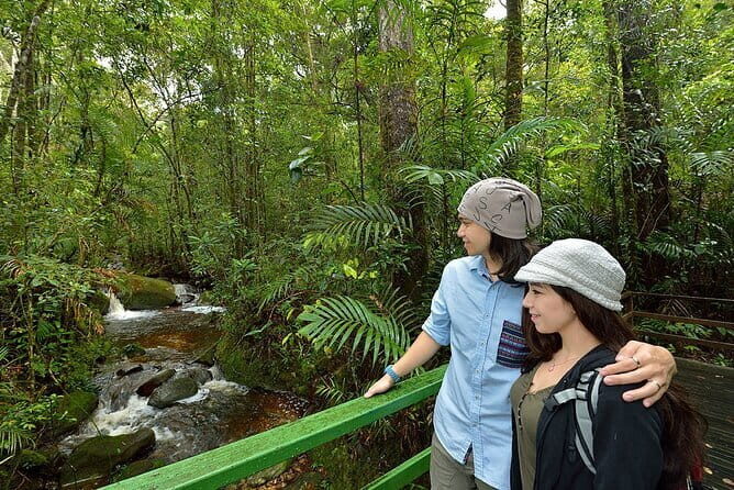 Kinabalu Park, Desa Dairy Farm & Poring Hot Springs Tour - The Value of This Tour