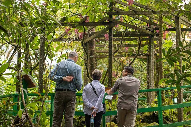 Kinabalu Park Tour with Desa Dairy Farm & Poring Hot Springs - What Travelers Say