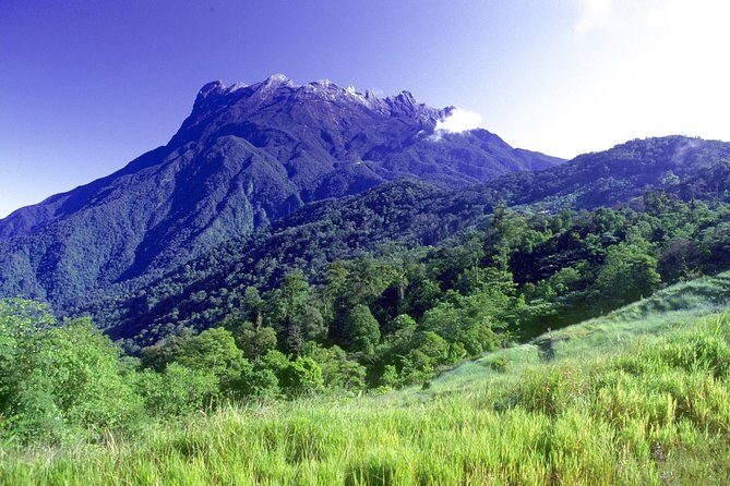 Kinabalu Park Tour with Desa Dairy Farm & Poring Hot Springs - The Sum Up