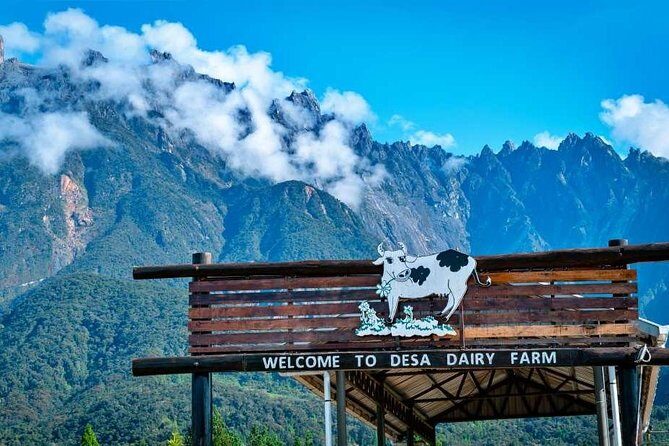 Kinabalu Park With Rumah Terbalik & Desa Cow Farm - Key Points
