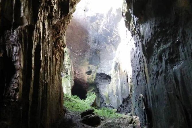 Kinabatangan River Cruise from Sandakan - How the Day Unfolds
