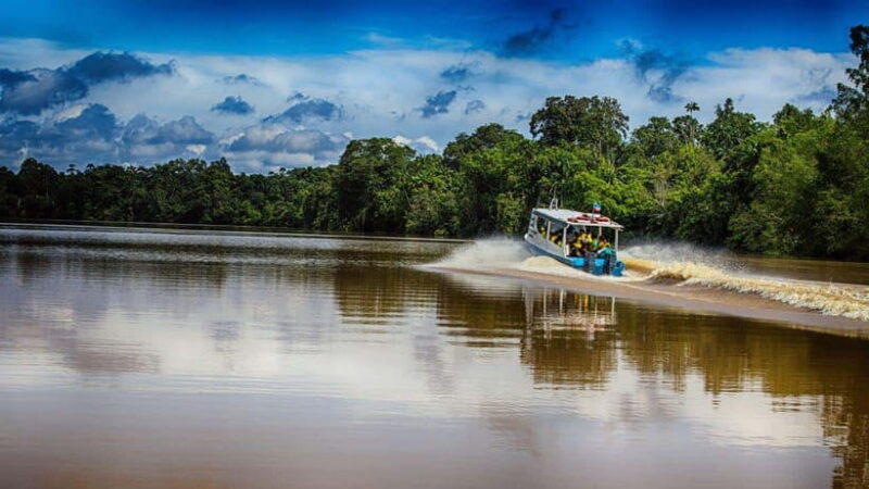 Kinabatangan River Trip from Sandakan with Lunch Included - Discover Sabah’s Wildlife on the Kinabatangan River Trip from Sandakan