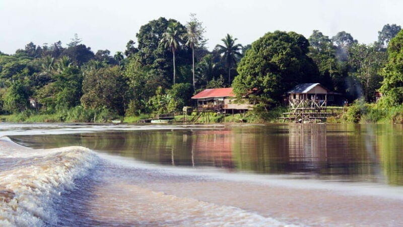 Kinabatangan River Trip from Sandakan with Lunch Included - The Itinerary in Detail