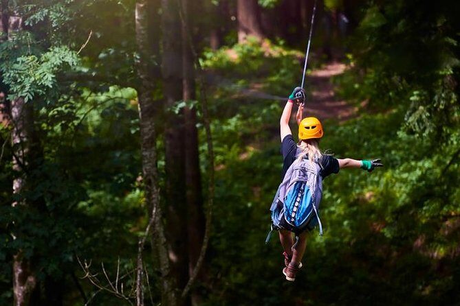 King Kong Extreme Zipline, City Tour and Transfer - Ziplining: Soaring Over the Honduran Jungle