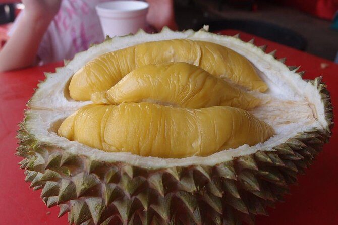 King of Tropical Fruits - Durian Tasting Tour From Kuala Lumpur - A Close-Up Look at the King of Fruits: Durian Tasting Tour from Kuala Lumpur