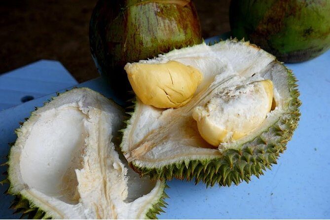 King of Tropical Fruits - Durian Tasting Tour From Kuala Lumpur - Final Thoughts: Is the Durian Tasting Tour Worth it?