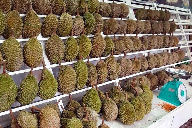King of Tropical Fruits - Durian Tasting Tour From Kuala Lumpur - FAQ about the Durian Tasting Tour