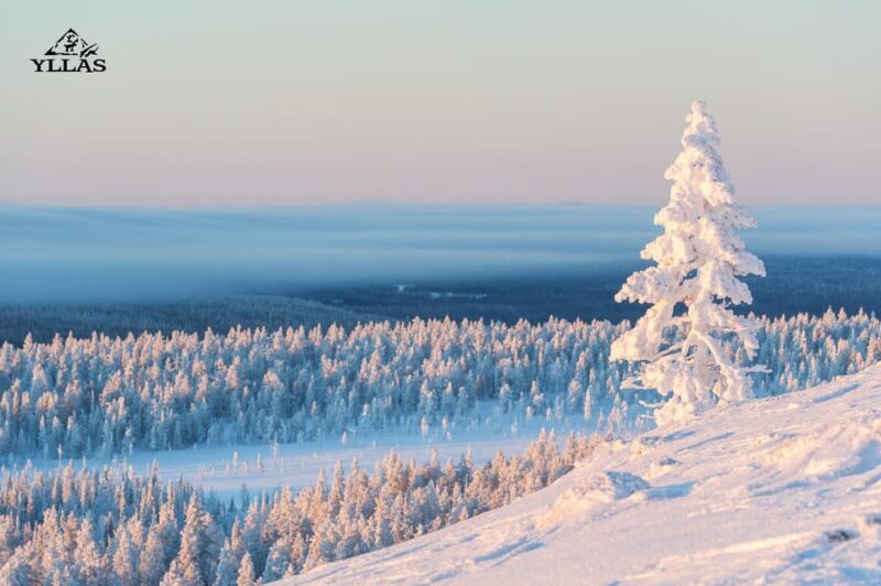 King of Ylläs: Snowmobiling to the Hill - Who Will Love This Tour