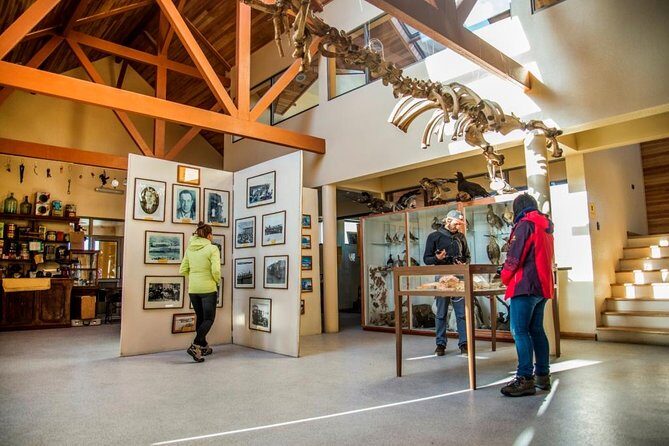 King Penguin & Tierra del Fuego Tour - Punta Arenas to the Edge of the World: The King Penguin & Tierra del Fuego Tour