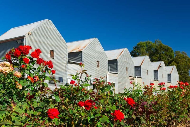 King Valley: Pizzini Wines Sparkling Italian High Tea - The Itinerary—What to Expect