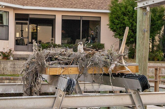 Kings Bay Crystal River Eco Cruise - Final Thoughts