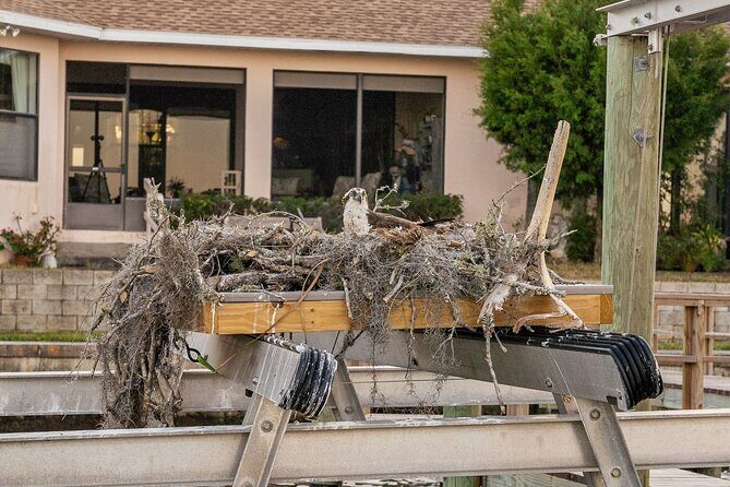 Kings Bay Crystal River Eco Cruise - FAQ About the Kings Bay Crystal River Eco Cruise