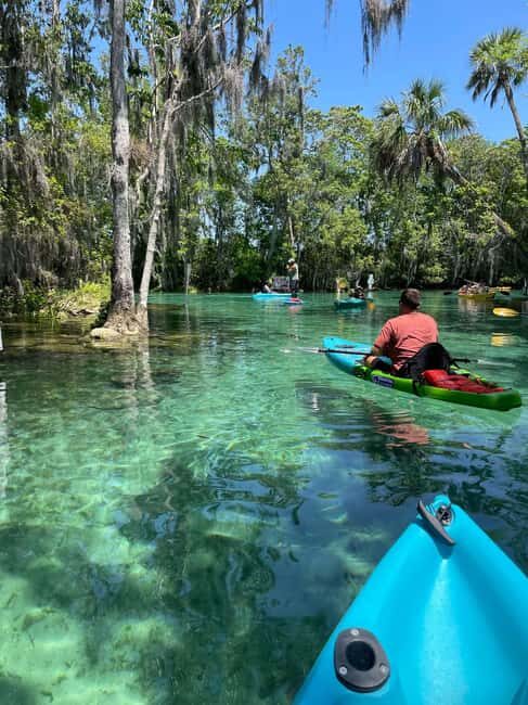 Kings Bay, Crystal River: Gentle Sunrise Manatee Kayak Tour - An Authentic Florida Morning in Kings Bay